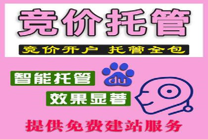 行业新秀的关键词竞价排名之路：快速崛起的案例